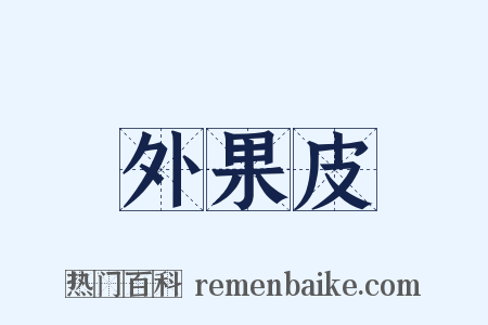 外果皮是什么意思的图片